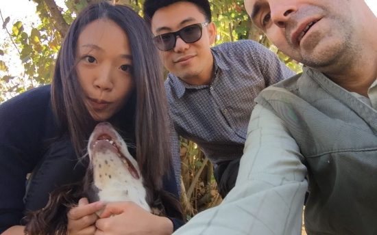 IMG-20180122-WA0014_1