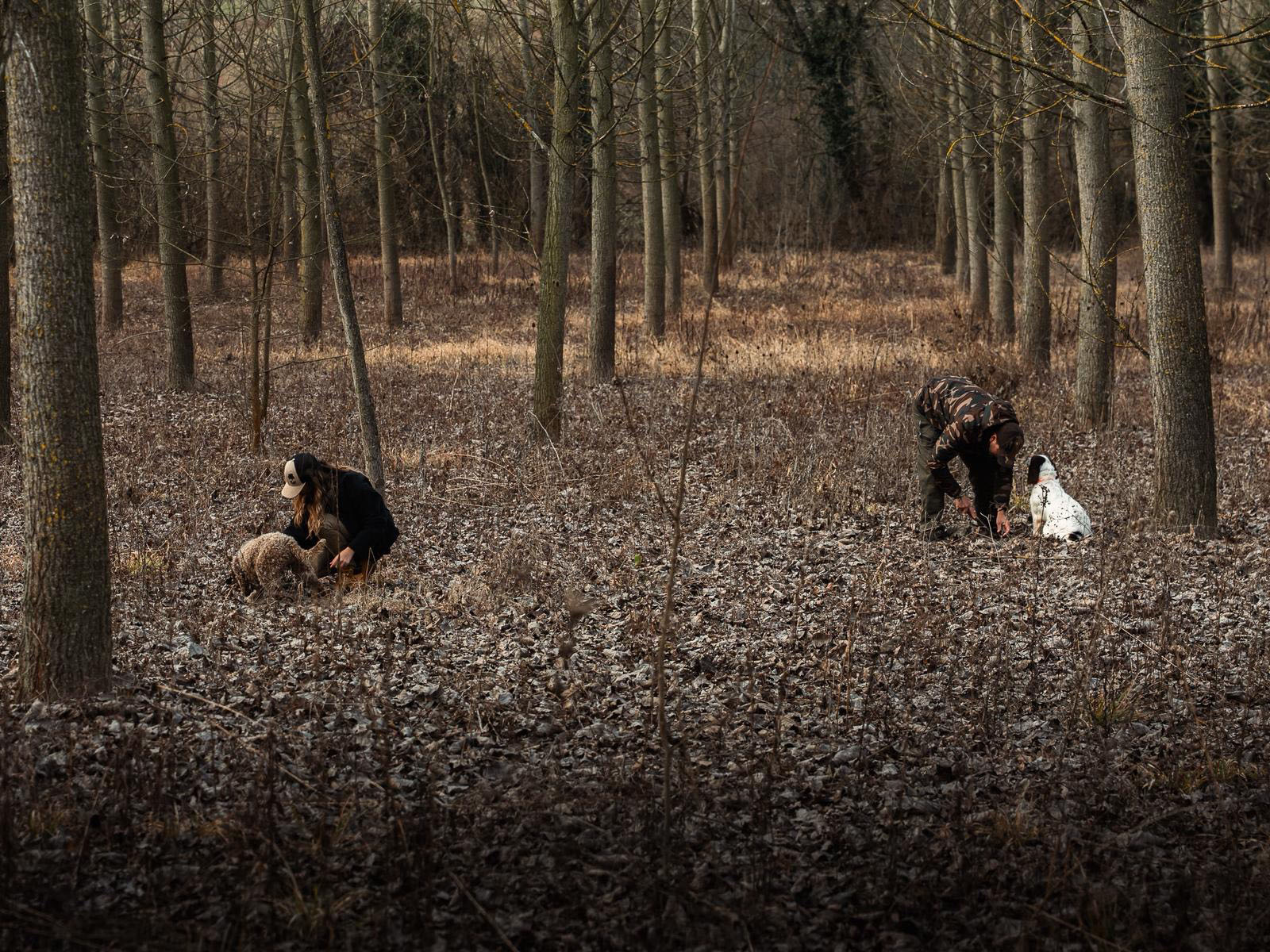 Asia Bertello_ricerca del tartufo